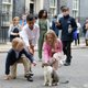 Image for article titled Make the Cat Prime Minister
